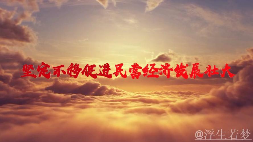 民营经济蓬勃发展，书写高质量发展新篇章